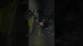 when bugs kill you in Sekiro