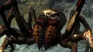 SKYRIM Special Edition: 'NIMHE' GIANT FROSTBITE SPIDER Boss Fight! (LEGENDARY)