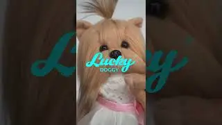 Игрушка Lucky Yoyo LD2/040: Элегантность с каркасом