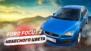 FORD FOCUS 2 в красивом цвете на продажу. Сколько заработал?