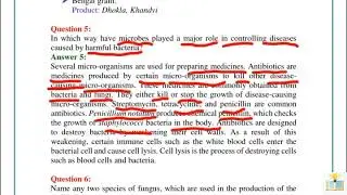 In which way have microbes played a major role in controlling disease caused by harmful bacteria?