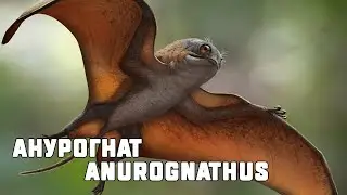 Dinosaurs | Anurognath | Anurognathus