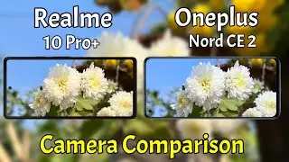 Realme 10 Pro Plus VS Oneplus Nord CE 2 Camera Comparison