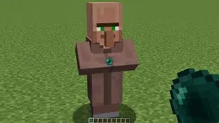what inside villager?
