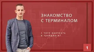Знакомство с терминалом для трейдера