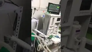 Km12 vet monitor by Keebomed