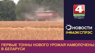 Первые тонны нового урожая намолочены в Беларуси