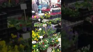 Things to Do in Limerick Ireland