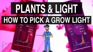 How To Pick A Grow Light : Plants & Light #110