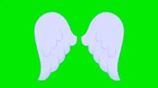 Beautiful fairy wings green screen video