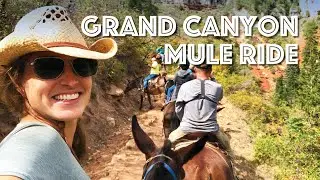 Grand Canyon Mule Ride Tour on the North Rim