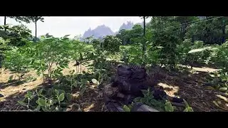 Solo PvP - Gray Zone Warfare