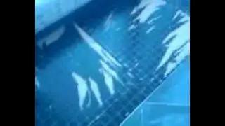 Я БЫЛ В Ах....е