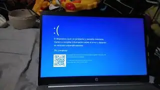Woody Toy Story 2 Has Bsod