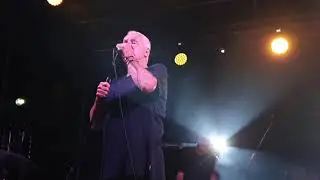 Daryl  Braithwaite One Summer Live at Sounds in the Valley (2020)