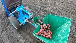 Новий саморобний трактор садить картоплю (фрагмент).Дощ.a home-made tractor plants potatoes