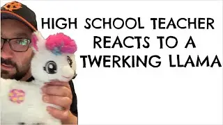 History Teacher Reacts to Twerking Llama