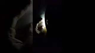 Механический телевизор 60 строк