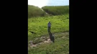 Вниз и вверх