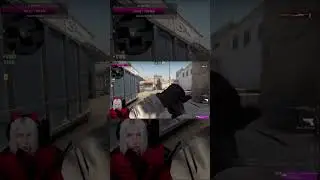 -3 от кошки мягколапки❤️ #стримерша #gamer #game #streamer #cs #csgo #кс #ксго #csmoment #gamergirl