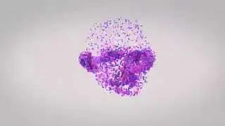 Mograp in Cinema 4D