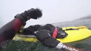 SoCal Rock Scallops and Uni - Harvesting in 6ft Visibility - spearfishing southern california