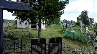 Кладбище опустевшей деревни Дмитриевка. Неверкинский район. Пензенская область.