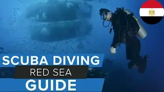 Red Sea Scuba Diving Guide w/ 