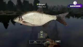 Russian Fishing 4 Farming Silver Coin Old Burg Lake