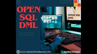 2  open sql dml