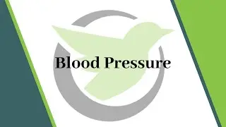 Washington Nurse Aide Skill #23 Blood Pressure