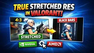 How to Get True Stretched Resolution in VALORANT (No Black Bars) | NVIDIA, AMD, Intel