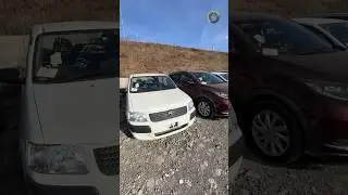 Японцам быть! Новая партия из Японии 🎌🔥 