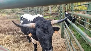 comienza la semana un poco más corta
