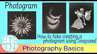 Fake creating a Photogram using Snapseed