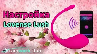 Всё о вебкаме: Как установить и настроить Lovense Lush и Lush 2 для работы вебмоделью