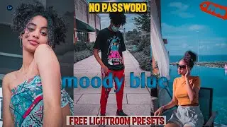 lightroom free mobile presets dng file/moody blue lightroom presets