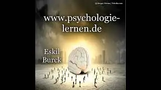 Werden Menschen krimineller, wenn sich die Umgebung im Niedergang befindet?