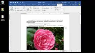 26. Wrapping Text Around a Picture