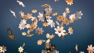 Футажи. Цветы.Цветочки.