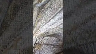 Ёрш отправляется в Москву.