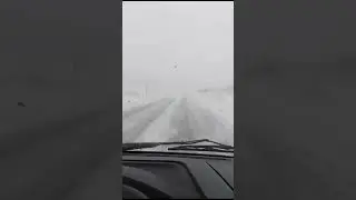 Мончегорск трасса