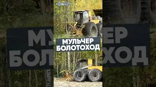 БОЛОТОХОДНЫЙ МУЛЬЧЕР 
