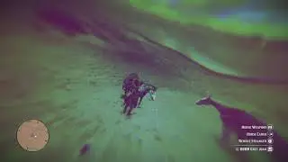 Ate Some Weird Mushrooms in RDR2