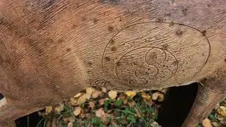wildcrete Duiker 3d archery target update