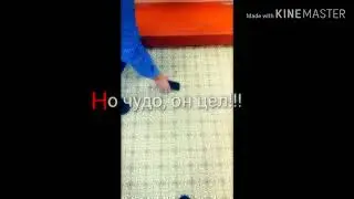 Чудесное спасение!!!