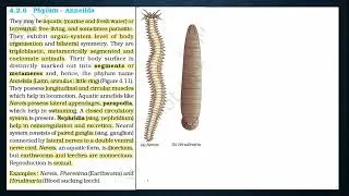NEET Biology Series | U1C4 | PART 3 | Animal Kingdom | The Living World | NCERT | मराठी