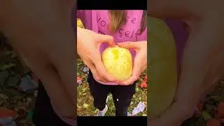 Orchard Sweet Apples: The taste makes you salivate!