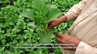 La ciencia de la biotecnología