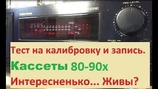 Выжившие! Тест кассет на запись 